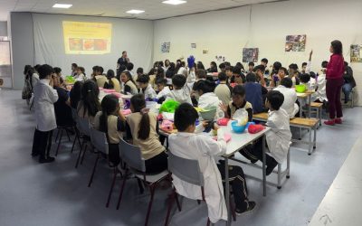 Fomentando el Trabajo en Equipo y Hábitos de Vida Saludable en 4° Básicos del Colegio Bulnes